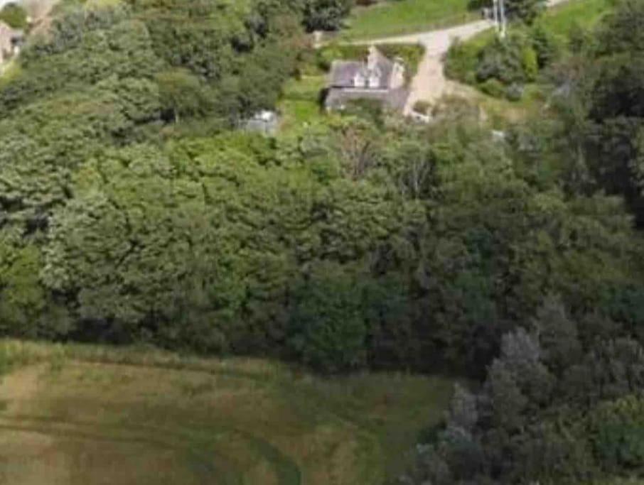 Holiday home Deer View - Woodland, Beaches And Hot Tub *