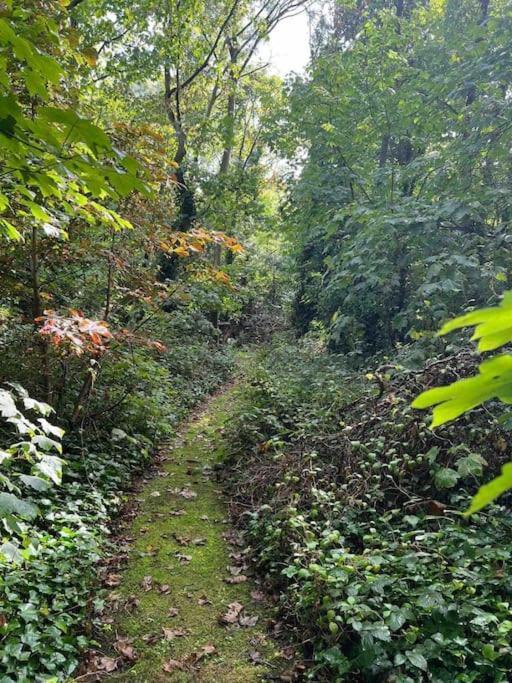 Holiday home Deer View - Woodland, Beaches And Hot Tub Kingston upon Hull