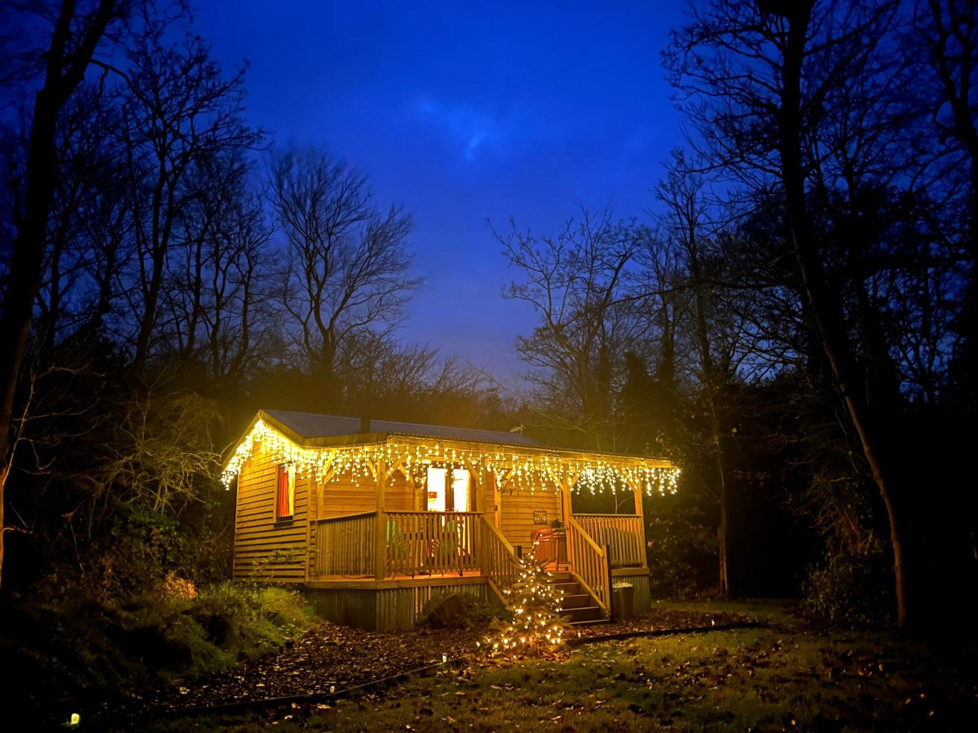 Deer View - Woodland, Beaches And Hot Tub Holiday home